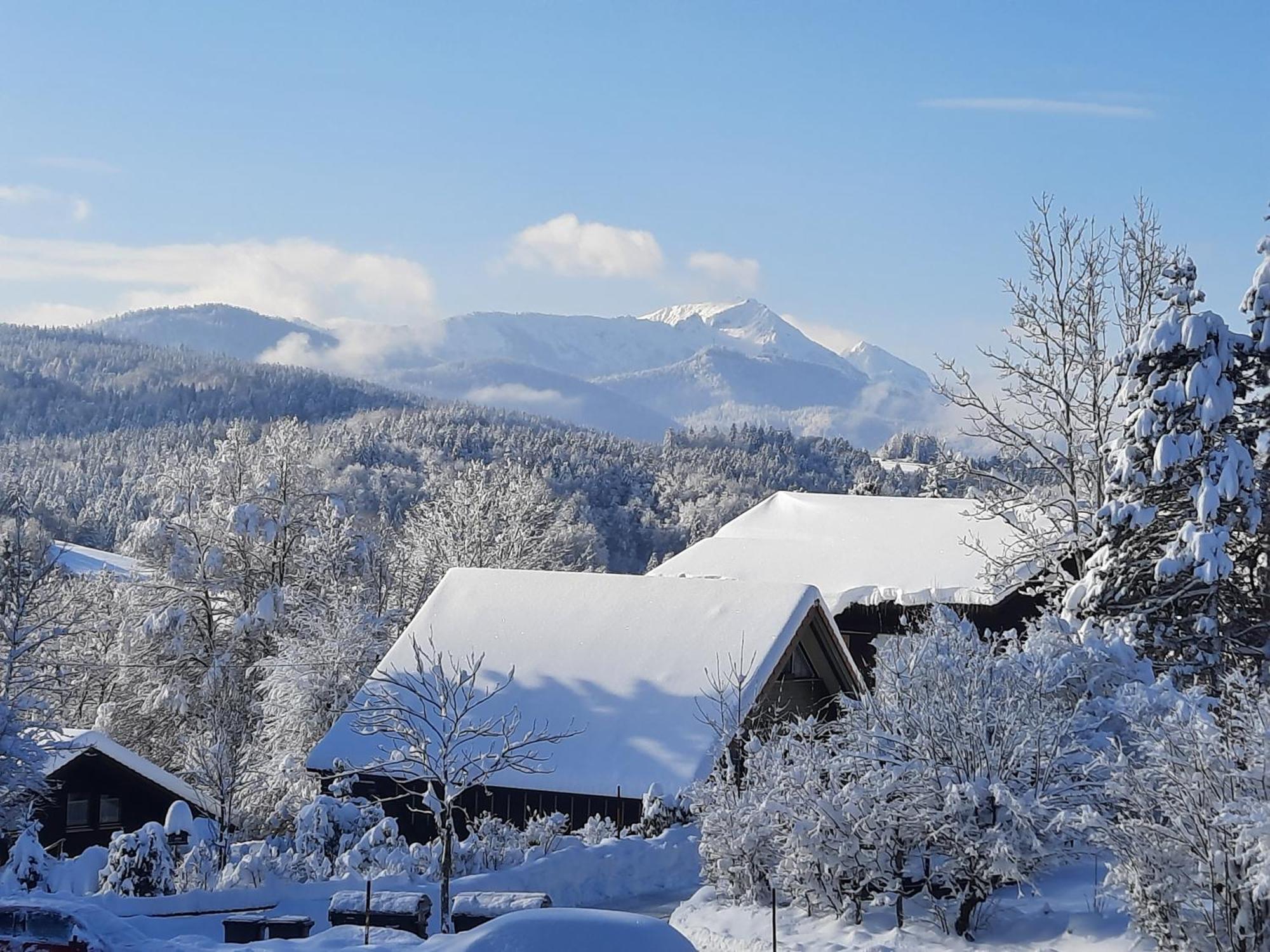 Vila Haus Mit Bergblick Siegsdorf Exteriér fotografie